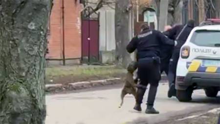 У Полтаві собака напав на двох поліцейських