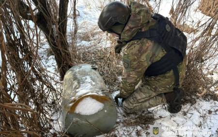 На Полтавщині ракета Х-101 упала на подвір’я приватного господарства і не зірвалася