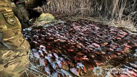 На Полтавщині викрили браконьєрів із уловом у пів тонни риби
